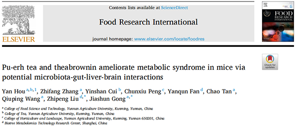 项目文章 | 普洱茶和茶褐素通过“菌-肠-肝-脑”轴缓解代谢综合征(图1)